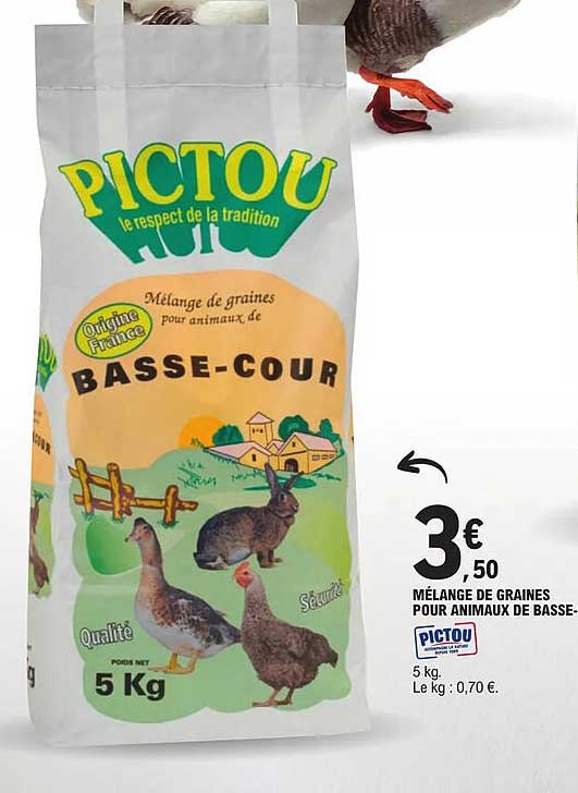 mélange de graines pour animaux de basse-cour pictou