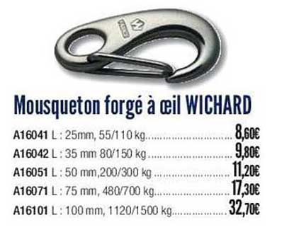 mousqueton forgé à œil wichard