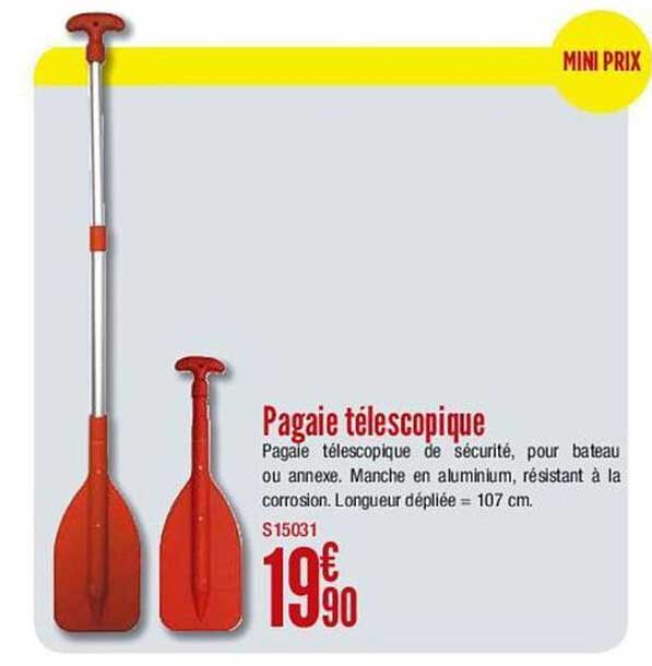 pagaie téléscopique