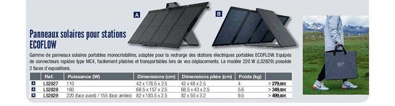 panneaux solaires pour stations ecoflow