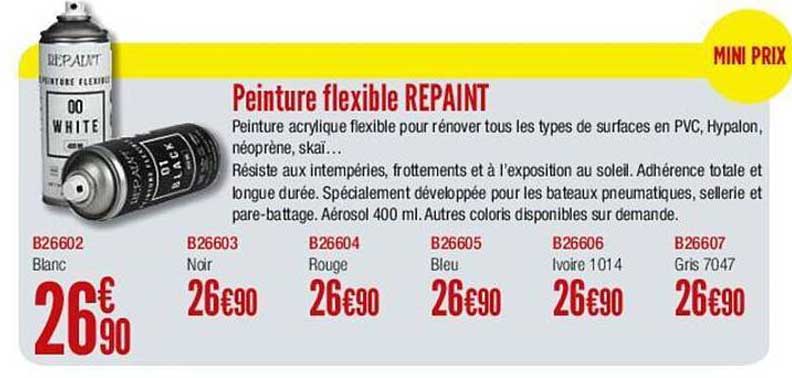 Peinture Flexible Repaint