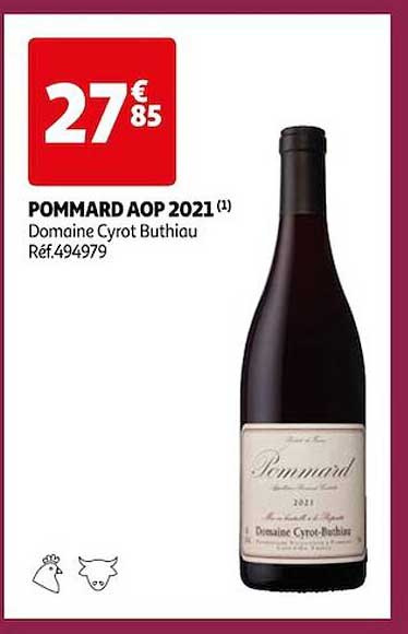 pommard aop 2021 domaine cyrot buthiau