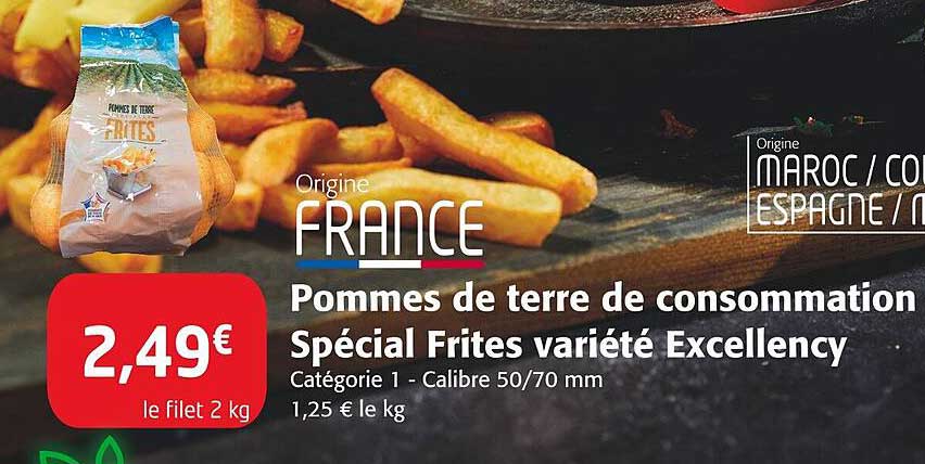 pommes de terre de consommation spécial frites variété excellency