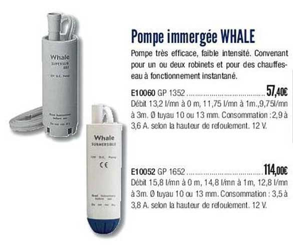 pompe immergée whale