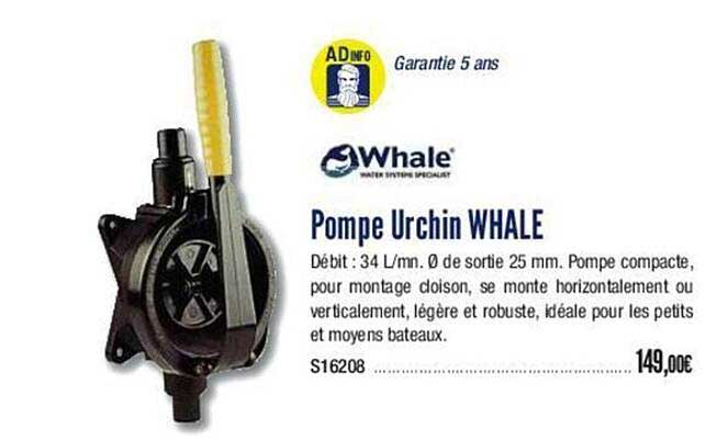 pompe urchin whale