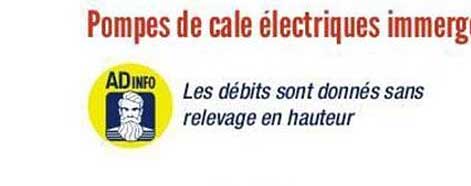 pompes de cale électriques immergées