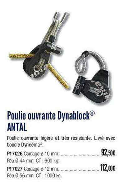 poulie ouvrante dynablock antal