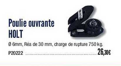poulie ouvrante holt