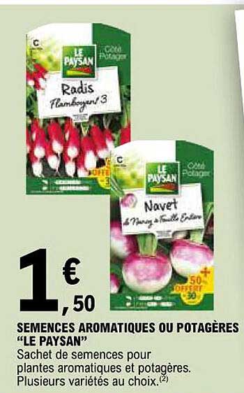 semences aromatiques ou potagères "le paysan"