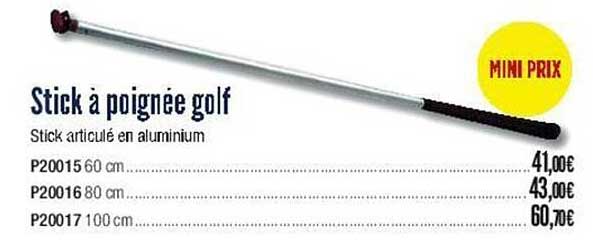 stick à poignée golf