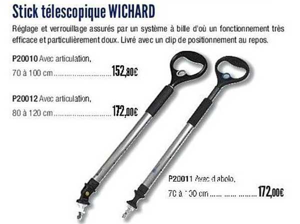 stick télescopique wichard