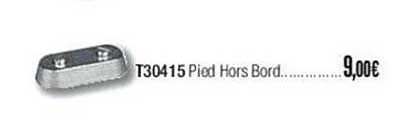 t30715 pied hors bord