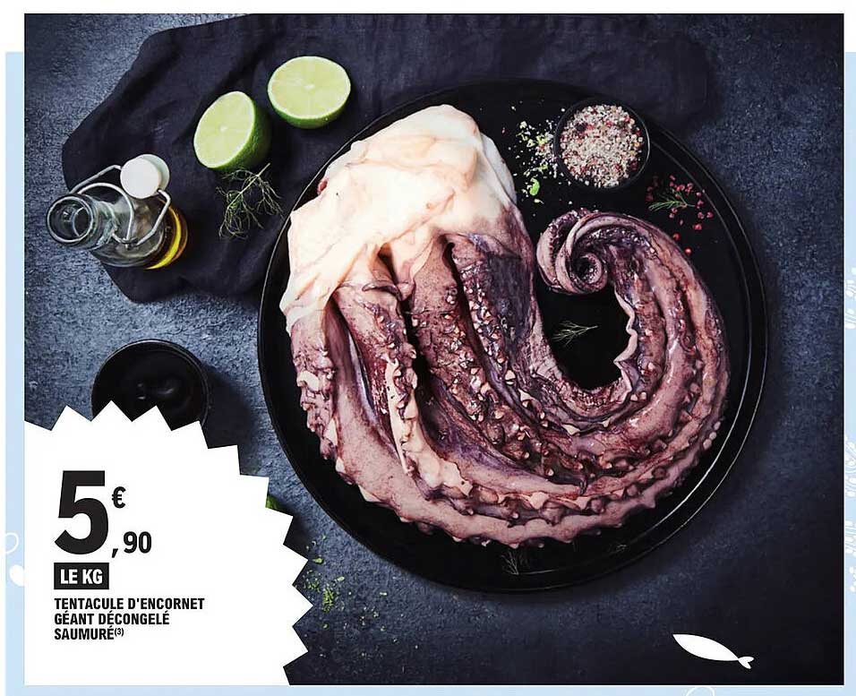 tentacule d'encornet géant décongelé saumuré