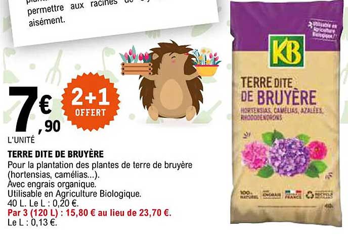 terre dite de bruyère kb