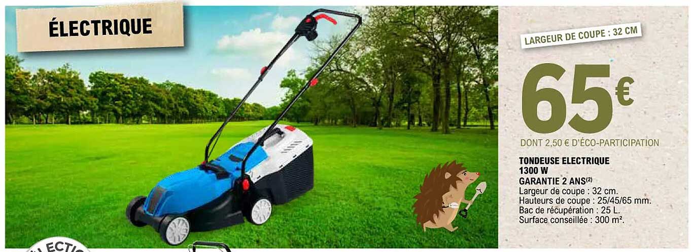 Tondeuse électrique 1300 W