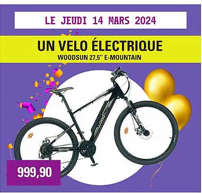 Un Vélo électrique Woodsun 27,5" E-mountain