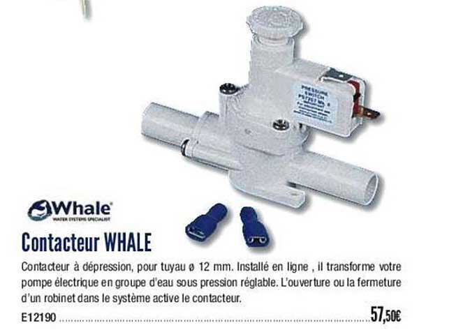 Whale Contacteur