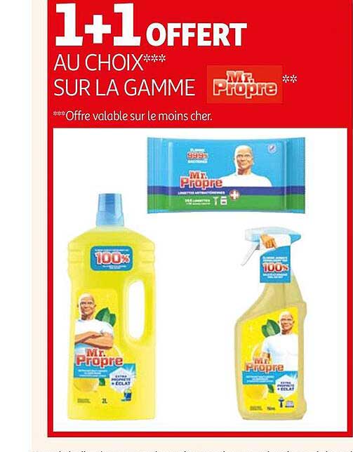 la gamme mr. propre