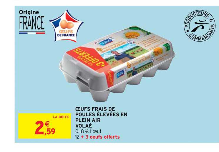 Oeufs Frais De Poules élevées En Plein Air Volaé