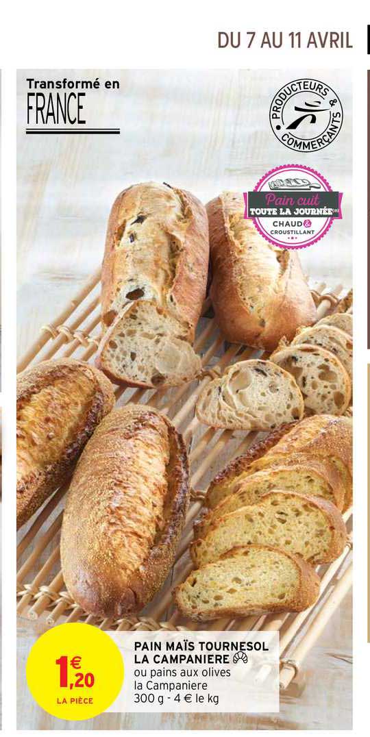 plan maïs tournesol la campanière