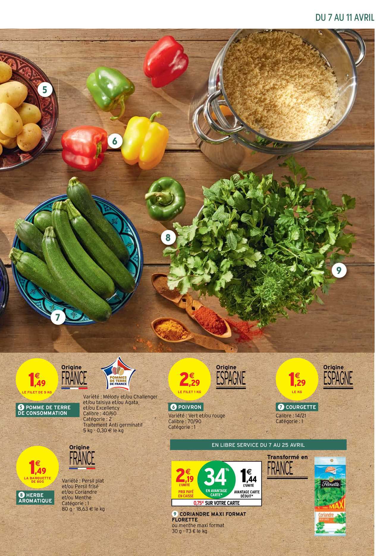 pomme de terre de consommation, herbe aromatique, poivron, courgette, coriandre maxi format florette