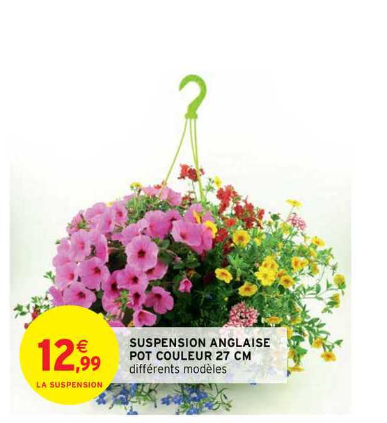Suspension Anglaise Pot Couleur 27 Cm