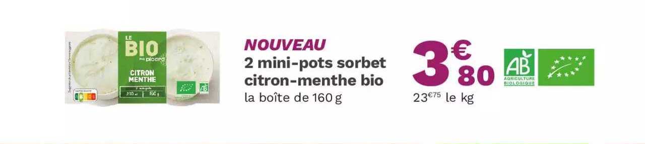 2 mini-pots sorbet citron-menthe bio