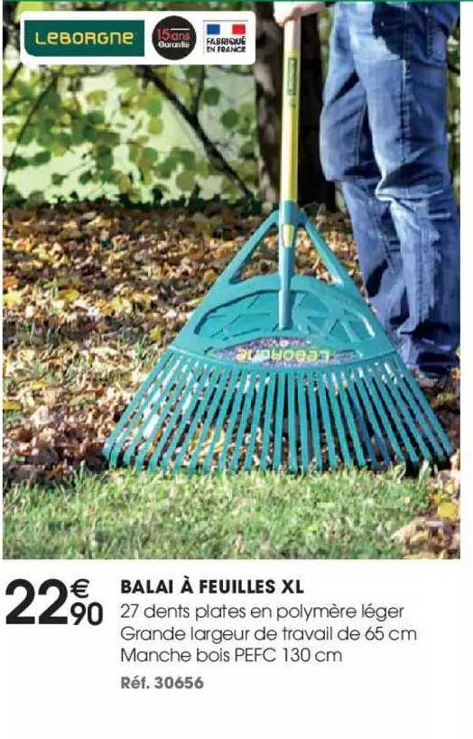 Balai à Feuilles Xl