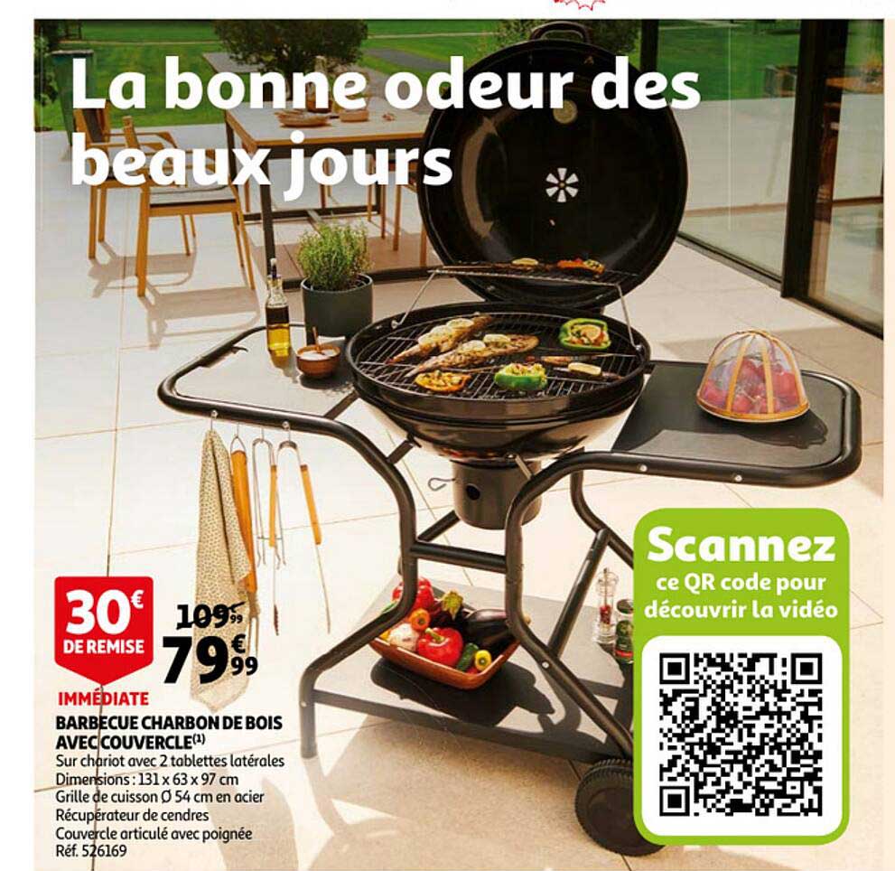 Barbecue Charbon De Bois Avec Couvercle