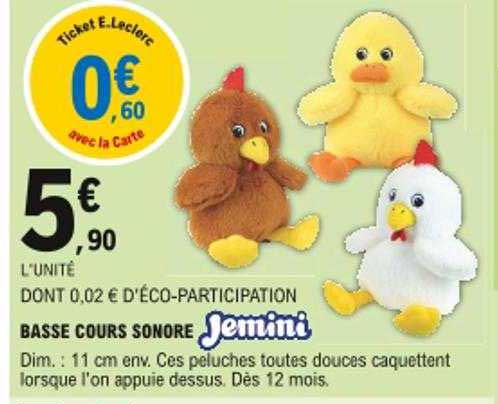 Basse Cours Sonore Jemini