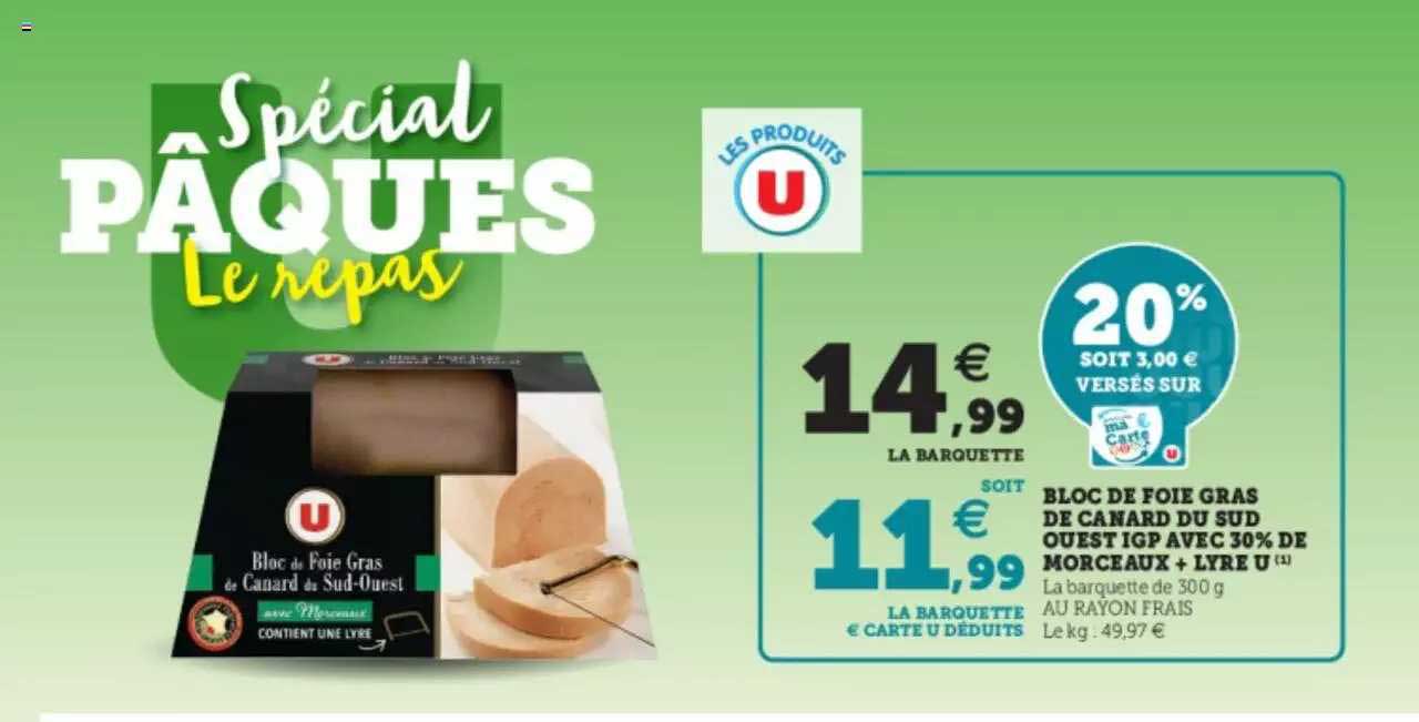 bloc de foie gras de canard du sud ouest igp avec 30% de morceaux + lyre u