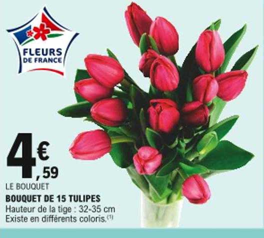 Bouquet De 15 Tulipes
