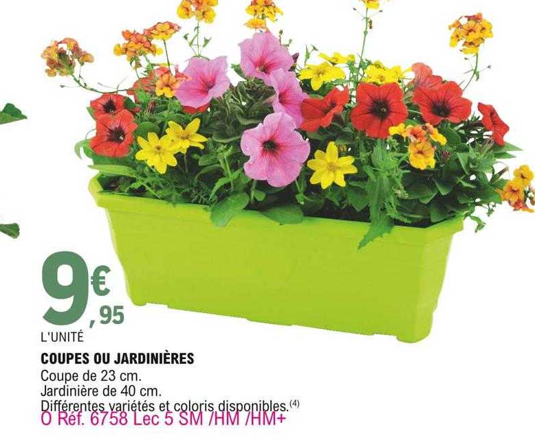 Coupes Ou Jardinières