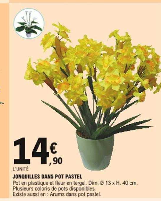 jonquilles dans pot pastel