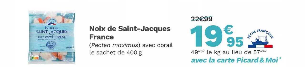 noix de saint-jacques france