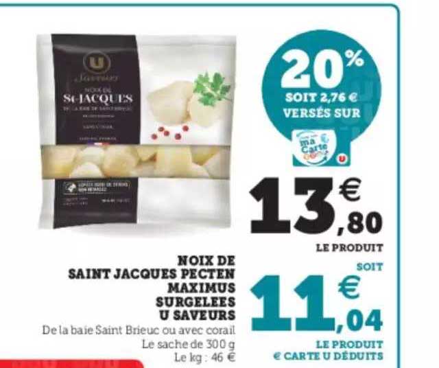 noix de saint jacques pecten maximus surgelées u saveurs