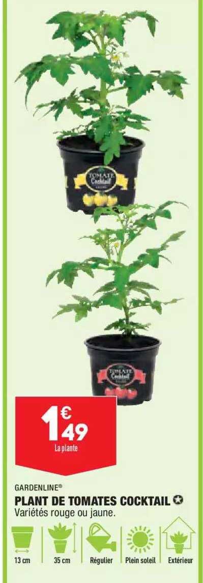 plant de tomates cocktail gardenline