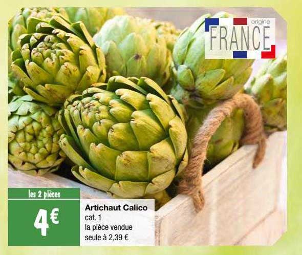 artichaut calico
