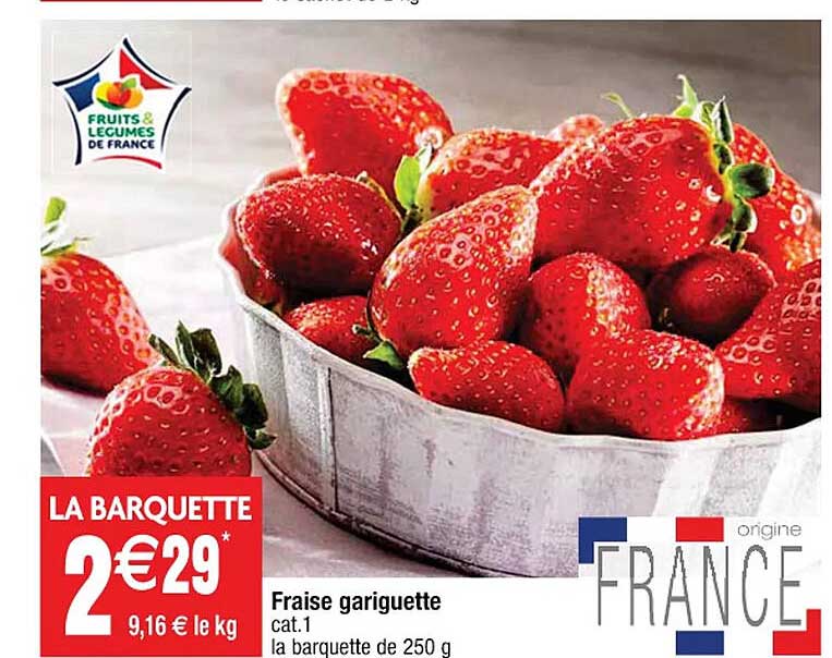 fraise gariguette