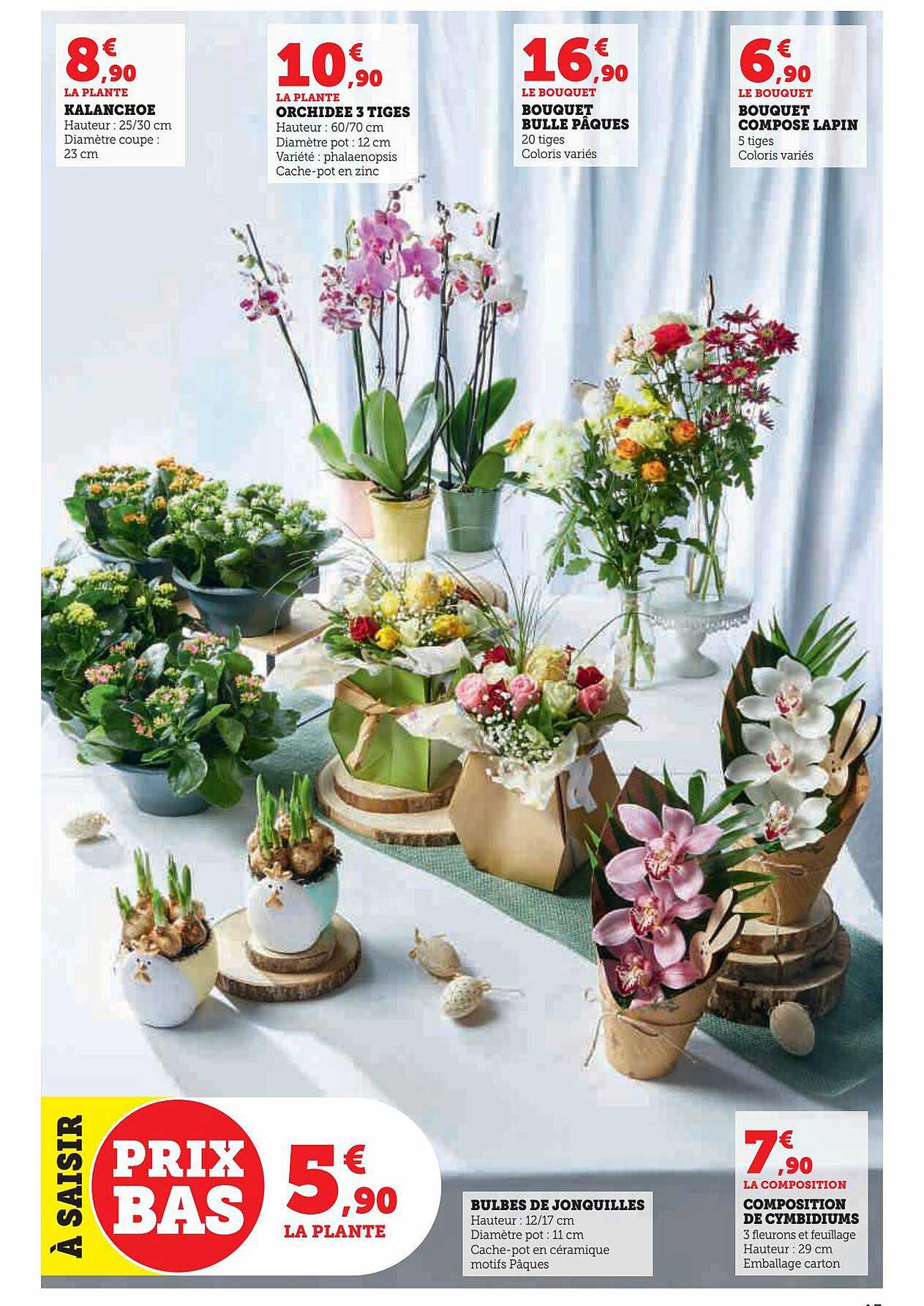 Kalanchoe, Orchidée 3 Tiges, Bouquet Bulle Pâques, Bouquet Composé Lapin, Bulbes De Jonquilles, Composition De Cymbidiums