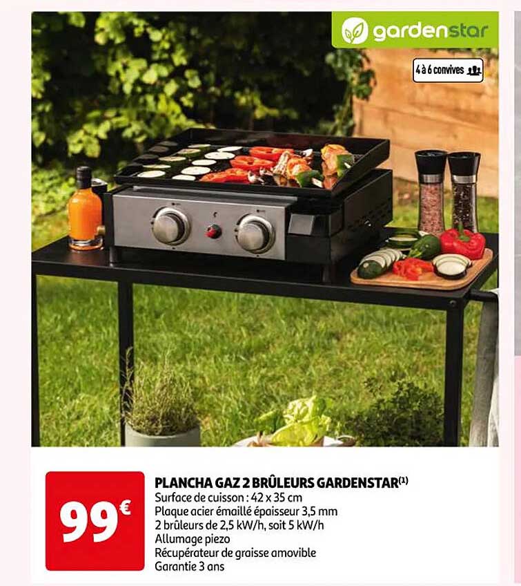 Plancha Gaz 2 Brûleurs Gardenstar