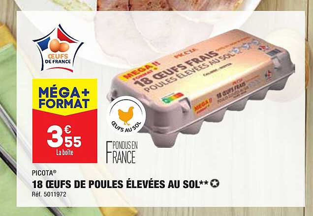 18 œufs de poules élevées au sol picota