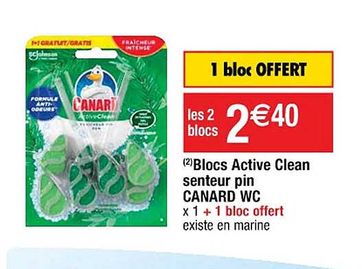 blocs active clean senteur pin canard wc