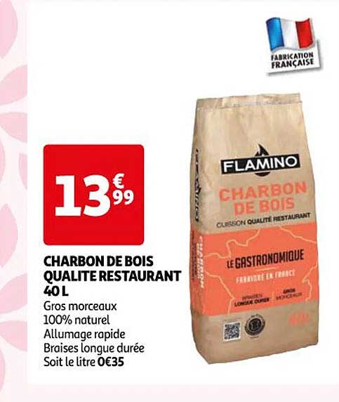 charbon de bois qualité restaurant 40l flamino
