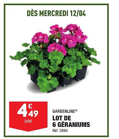 lot de 6 géraniums gardenline
