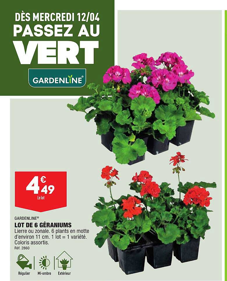 lot de 6 géraniums gardenline