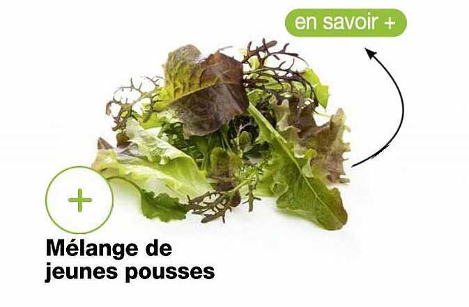 mélange de jeunes pousses