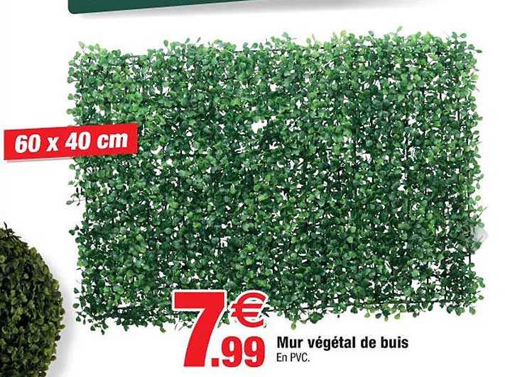 Mur Végétal De Buis