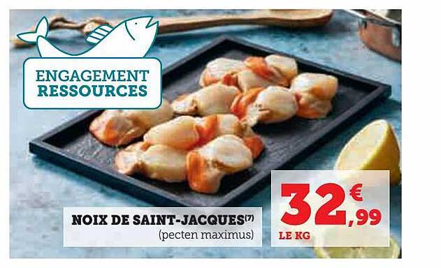 noix de saint-jacques