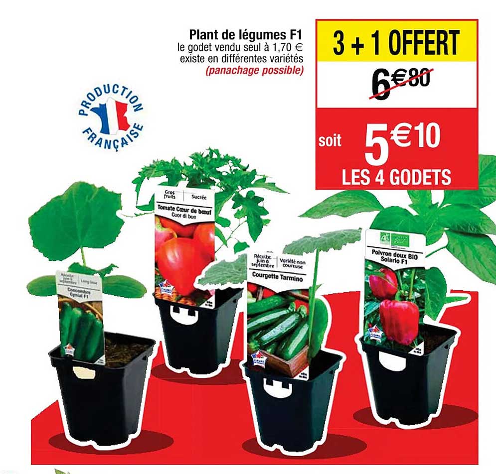 plant de légumes f1